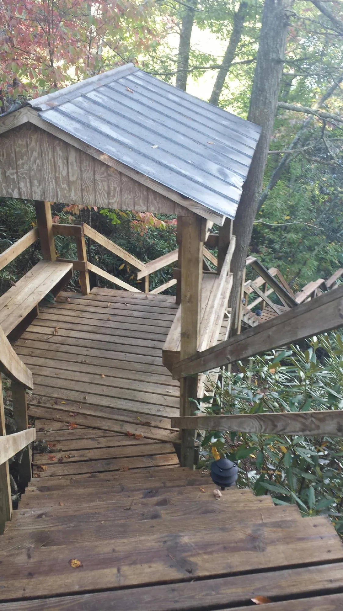 Metal roofed shelter over wooden steps on a wooded walkway — Skylight Repair & Installation work by our crew in Nettleton