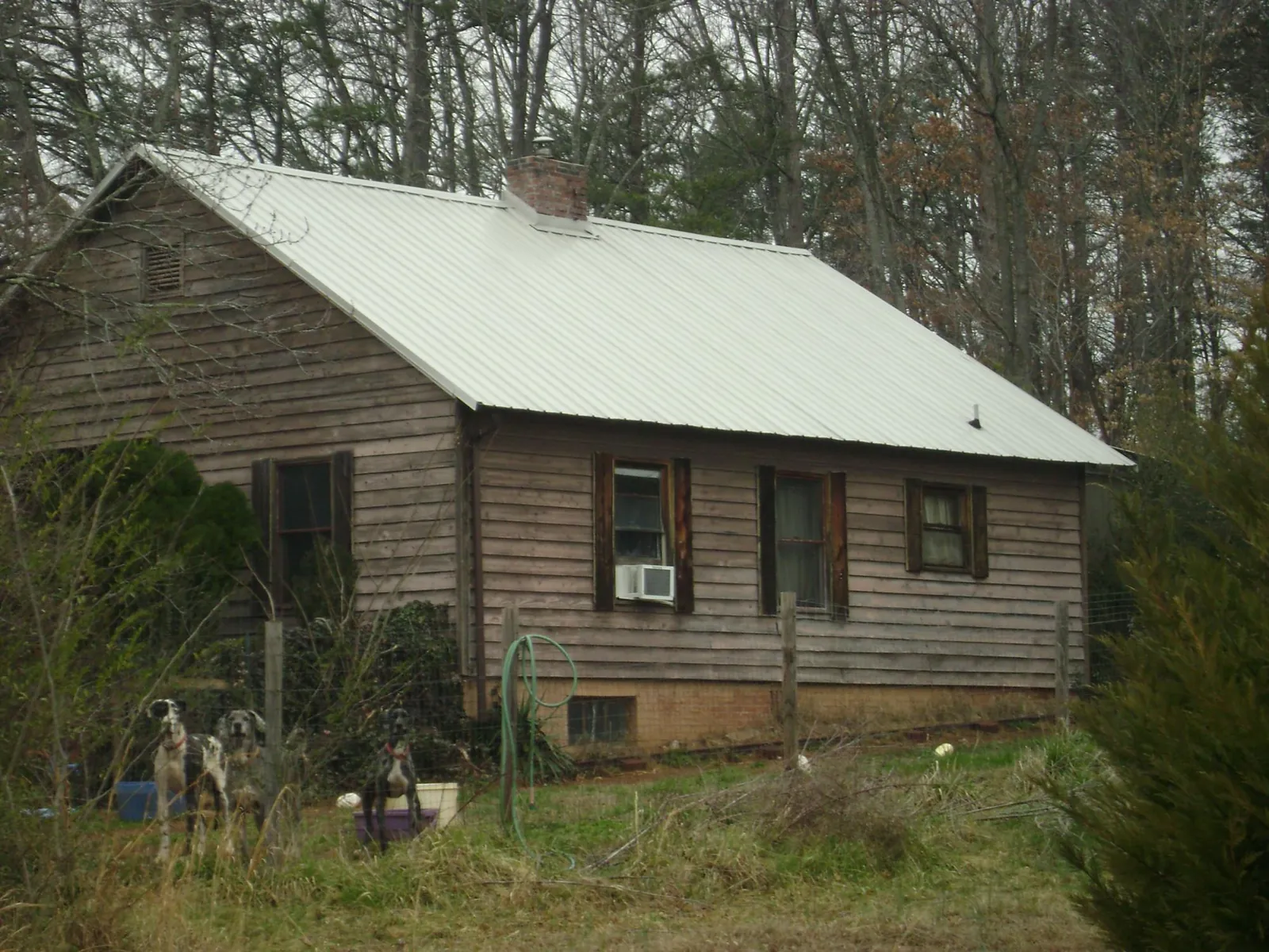 White metal roof on an old wood sided farmhouse, from a Asphalt Shingle Roof Repair job in Nettleton